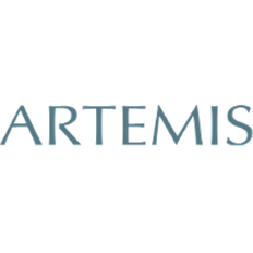 Groupe Artemis